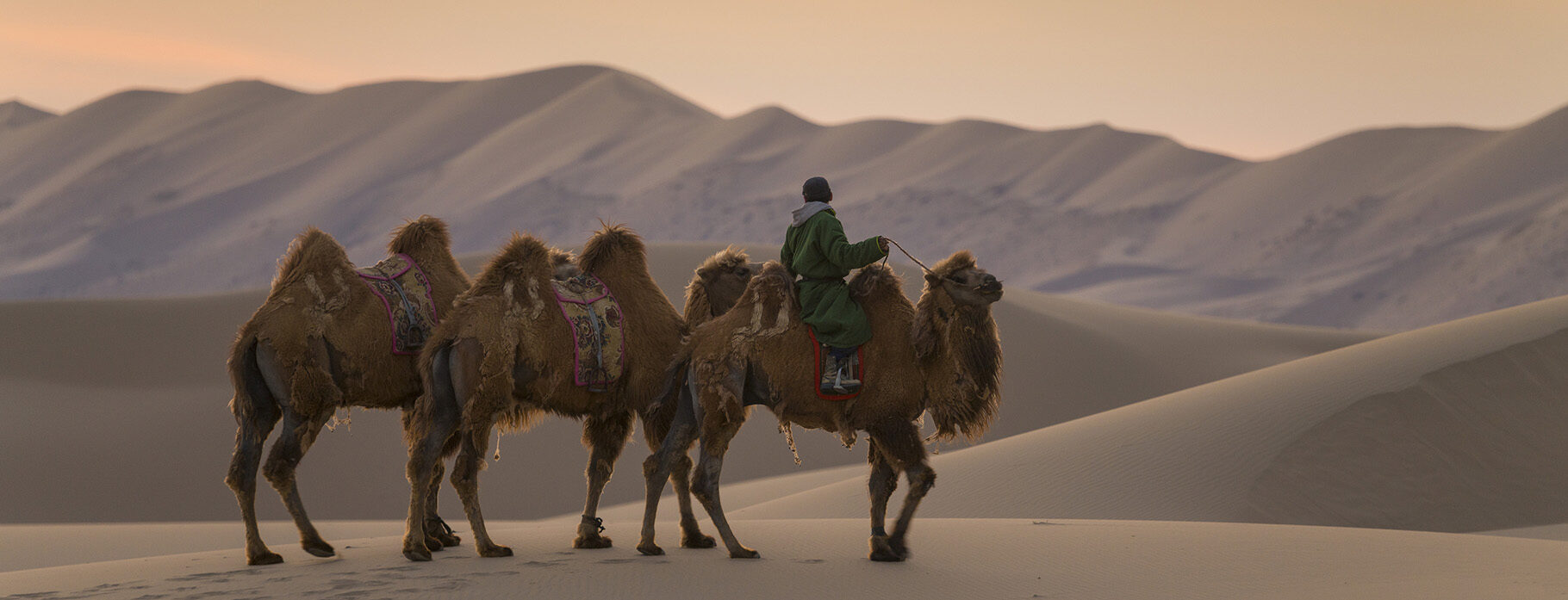 The Best Luxury Holidays To Mongolia 