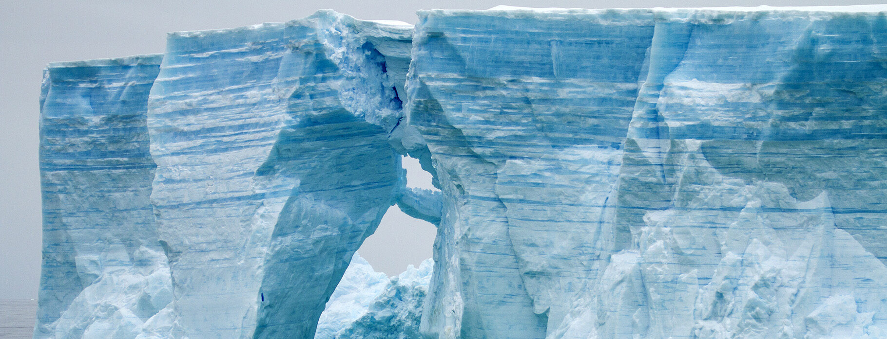 11 DAYS ANTARCTICA IMMERSION