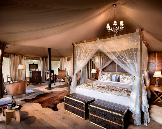 Serengeti (either one area)