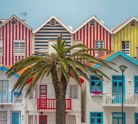 Coimbra / Aveiro / Porto Coimbra / Aveiro / Porto