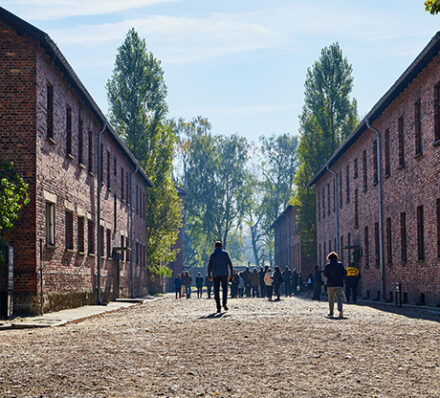 Wroclaw / Auschwitz / Krakow