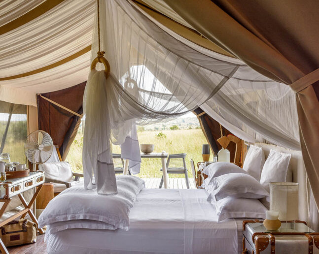 Serengeti (either one area)