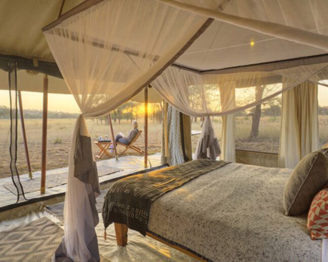 Serengeti (Mobile Camp)