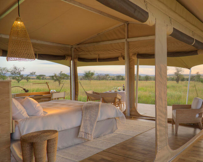 Serengeti (either one area)