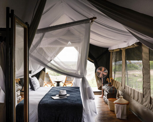 Serengeti (either one area):