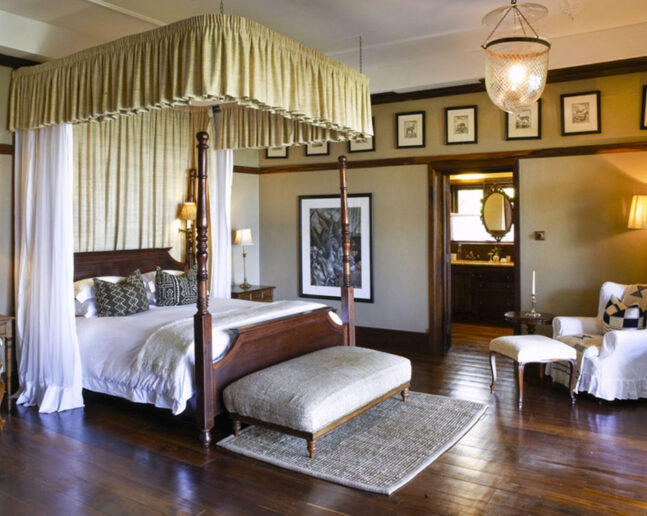 Serengeti (either one area)