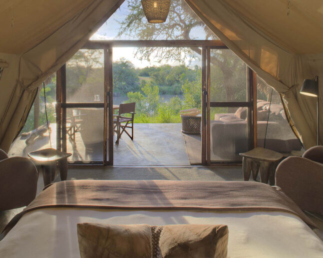 Serengeti (either one area):