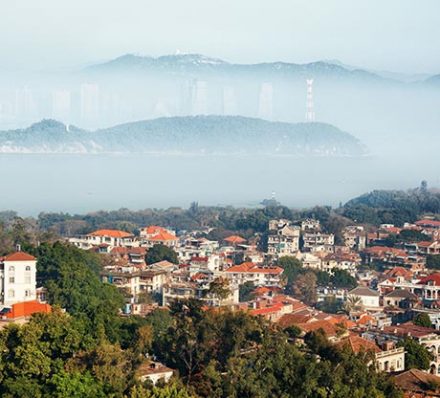 Taxia / Xiamen Taxia / Xiamen