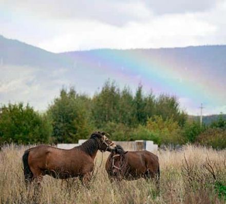 Departure from Shangri-La 