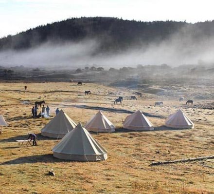 Shangri-La / Monk Grassland