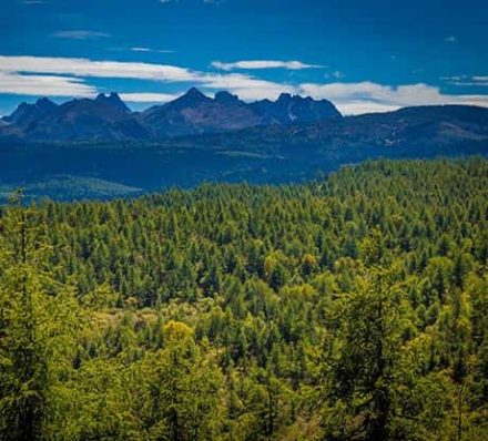 Muet Grassland / Shangri-La