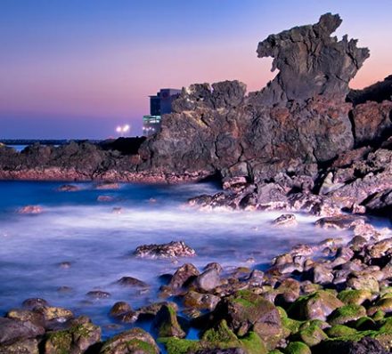 Arrival in Jeju Arrival in Jeju