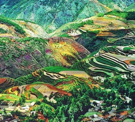 Kunming / Dongchuan (Average altitude 1244-2600m) 