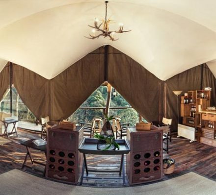 Dongchuan / Kunming / Tengchong / Gaoligong (Average altitude 1667-2300m)