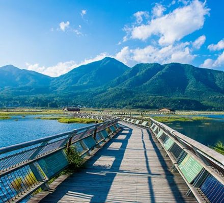 Gaoligong / Tengchong (Average altitude 2300-1667m) 