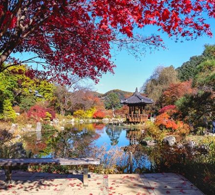 Seoul / Gapyeong / Seoul Seoul / Gapyeong / Seoul