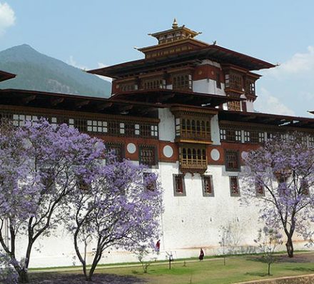 Punakha / Tashitang / Punakha Punakha / Tashitang / Punakha