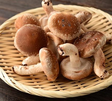 Beppu / Kunisaki Peninsula / Fukuoka Beppu / Kunisaki Peninsula / Fukuoka