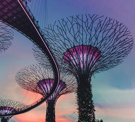 Arrival in Changi / City Centre