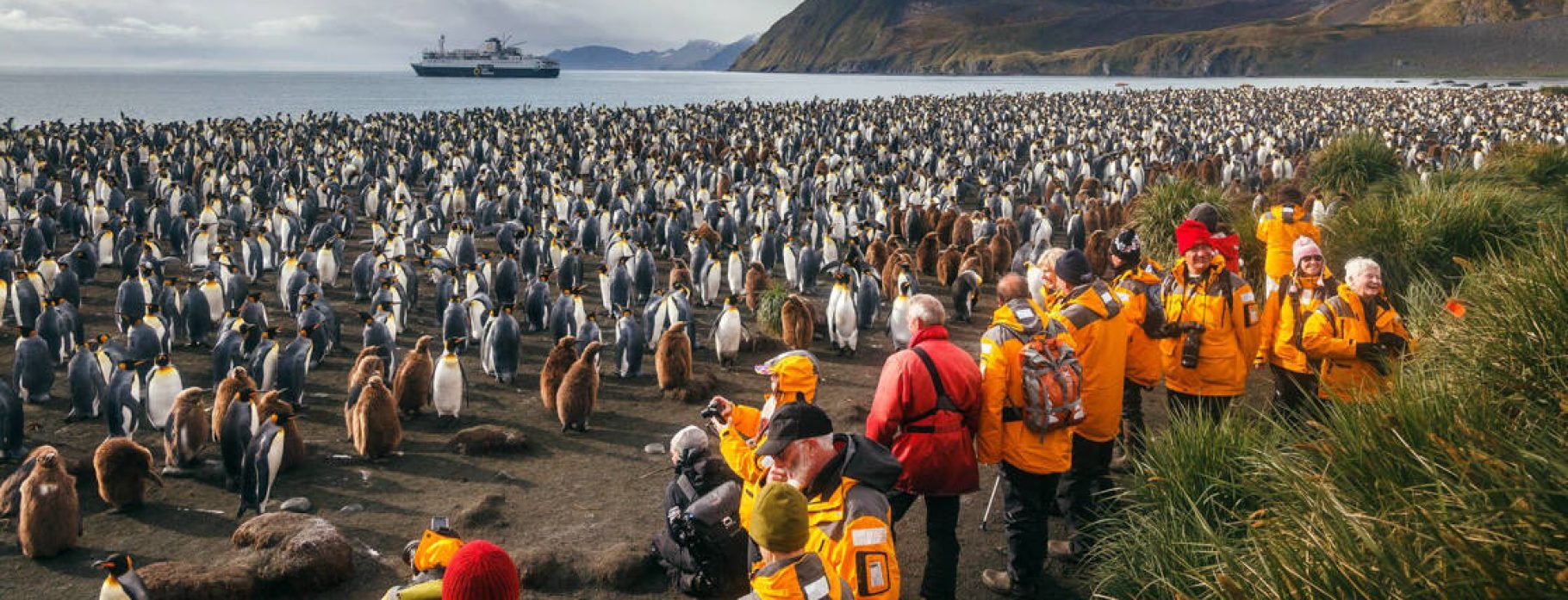 16 DAYS ANTARTICA PENGUIN SAFARI