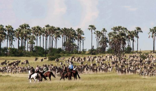 11 DAYS EXCLUSIVE WINGS OVER BOTSWANA (10-20th March 2022)