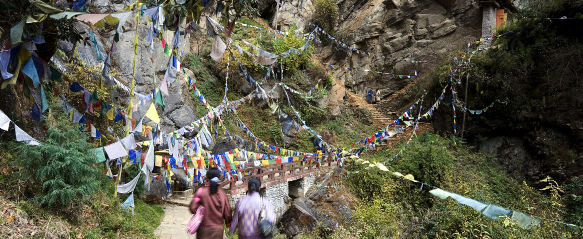 Happiest Branch in the World – Bhutan and its Trees
