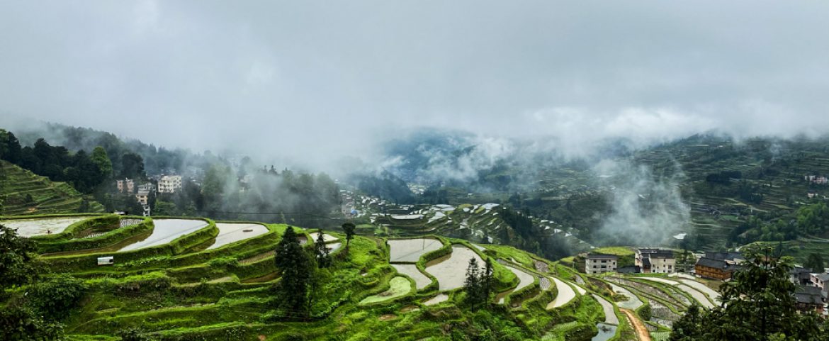 A sip of Guizhou: Maotai, Miaos, and the Ethnic Minorities of China