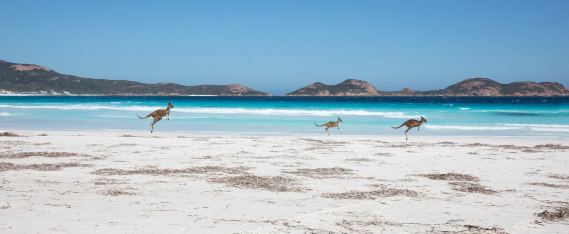 Experience the road less taken: Dusty, Pink, and Wild side of off-the-beaten Australia