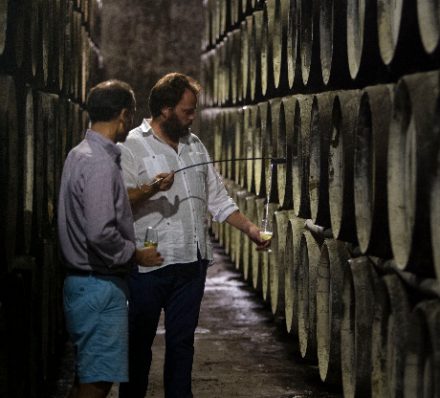 Ronda / Jerez / Seville