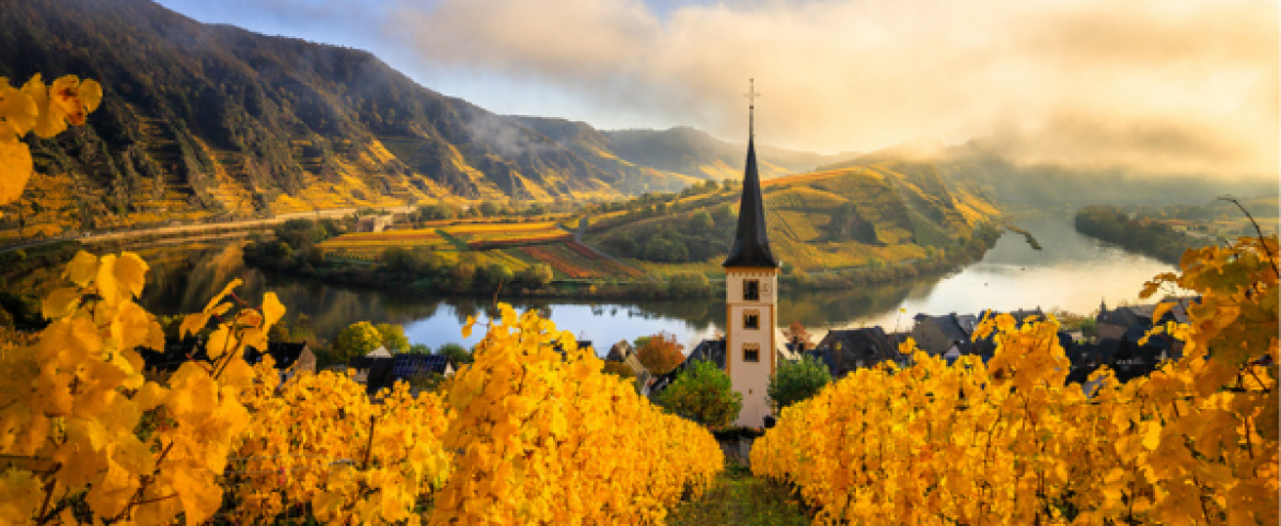 Guide to Germany 2021 : Magic cities & delightful themed routes