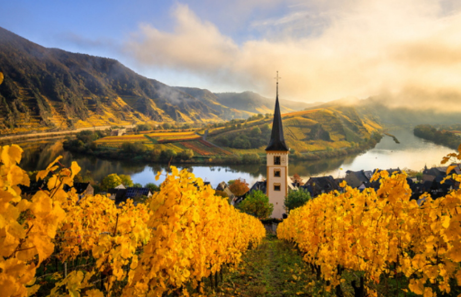 Guide to Germany 2021 : Magic cities & delightful themed routes