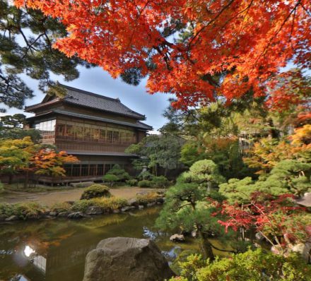 Arrival In Tokyo / Niigata Arrival In Tokyo / Niigata