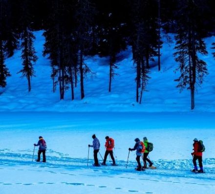 Cortina D’ampezzo / Sennes Plateau Cortina D’ampezzo / Sennes Plateau