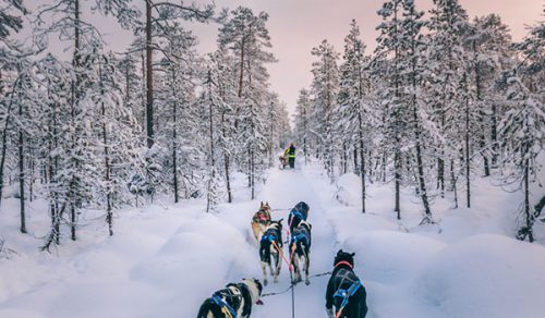 8 DAYS SWEDISH AND FINNISH LAPLAND FUN