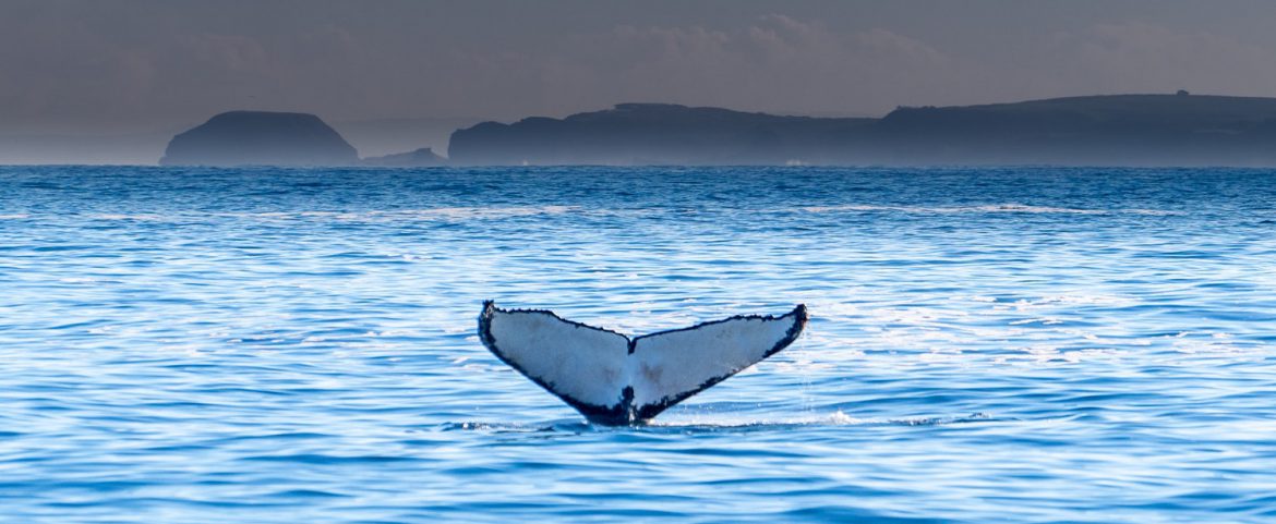 How do you get to Antarctica?