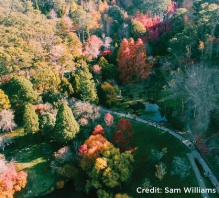 ARRIVAL IN ADELAIDE / ADELAIDE HILLS ARRIVAL IN ADELAIDE / ADELAIDE HILLS