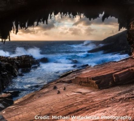 KANGAROO ISLAND / DEPARTURE FROM ADELAIDE KANGAROO ISLAND / DEPARTURE FROM ADELAIDE