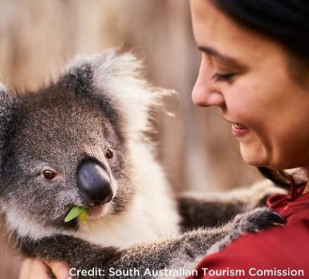 ADELAIDE HILLS ADELAIDE HILLS