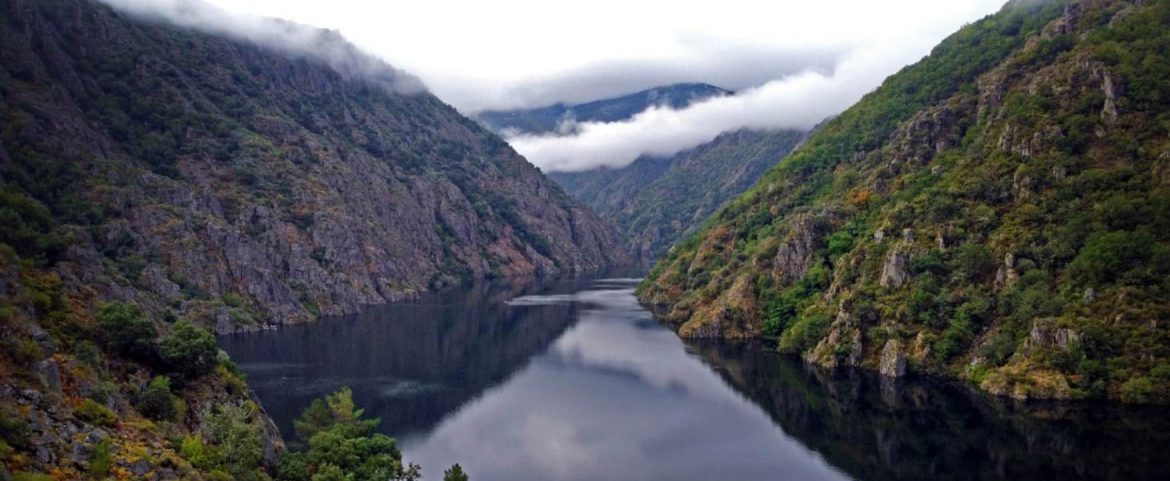 Webinar  – Green Spain. The Spirit Of the North