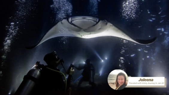 What it’s like to travel in 2022 – a conversation with an intrepid traveller