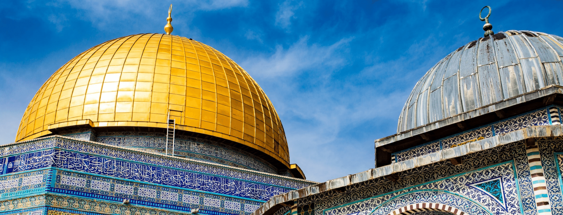 INTRIQ FINESSE: 11 DAYS INSIDER ISRAEL