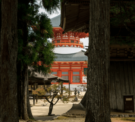 05 APR 2023 (WED) ARRIVAL IN KANSAI