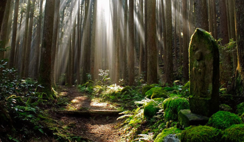 6 DAYS KUMANO KODO TRAIL (05 – 10 April 2023)