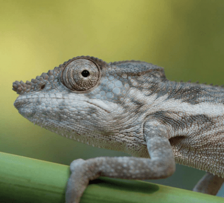 20 SEP (WED) 2023 ISALO NATIONAL PARK 20 SEP (WED) 2023 ISALO NATIONAL PARK