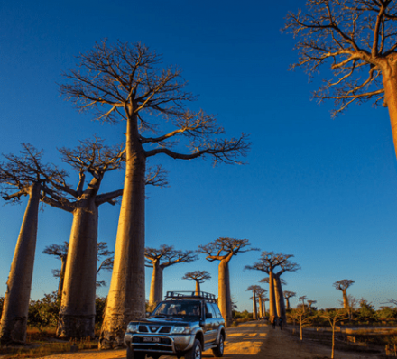 21 SEP (THU) 2023 ISALO NATIONAL PARK / MORONDAVA 21 SEP (THU) 2023 ISALO NATIONAL PARK / MORONDAVA