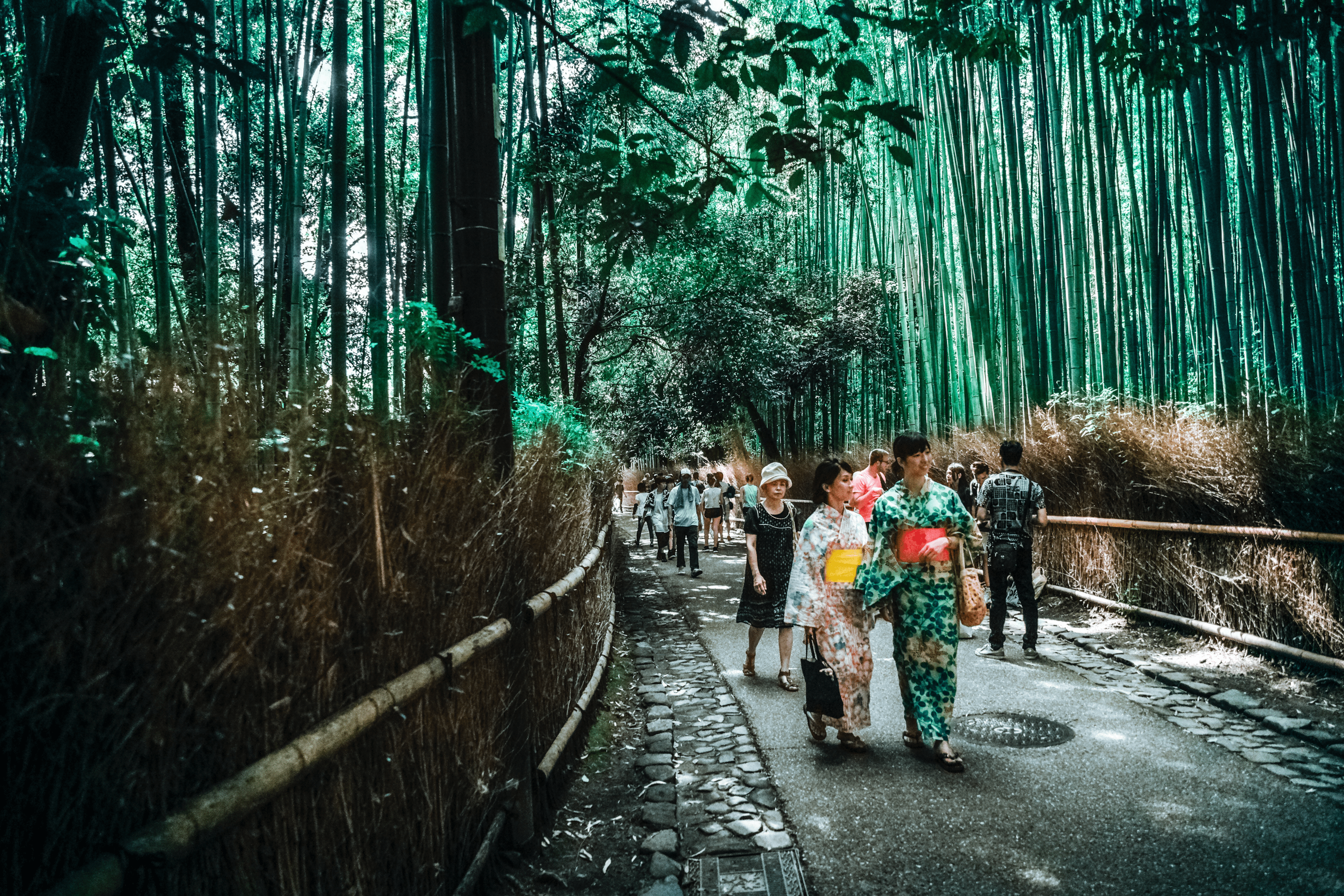 Luxury Travel Guide to Japan for 2022